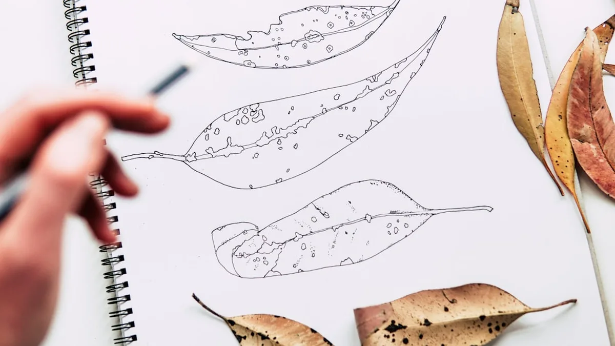 Tenir un carnet des saisons pour observer la nature