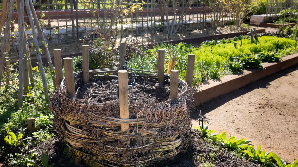 Réussir son compost au jardin : ce que j'ai appris