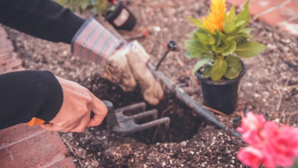 Entretenir ses outils de jardin : ce que j'ai appris