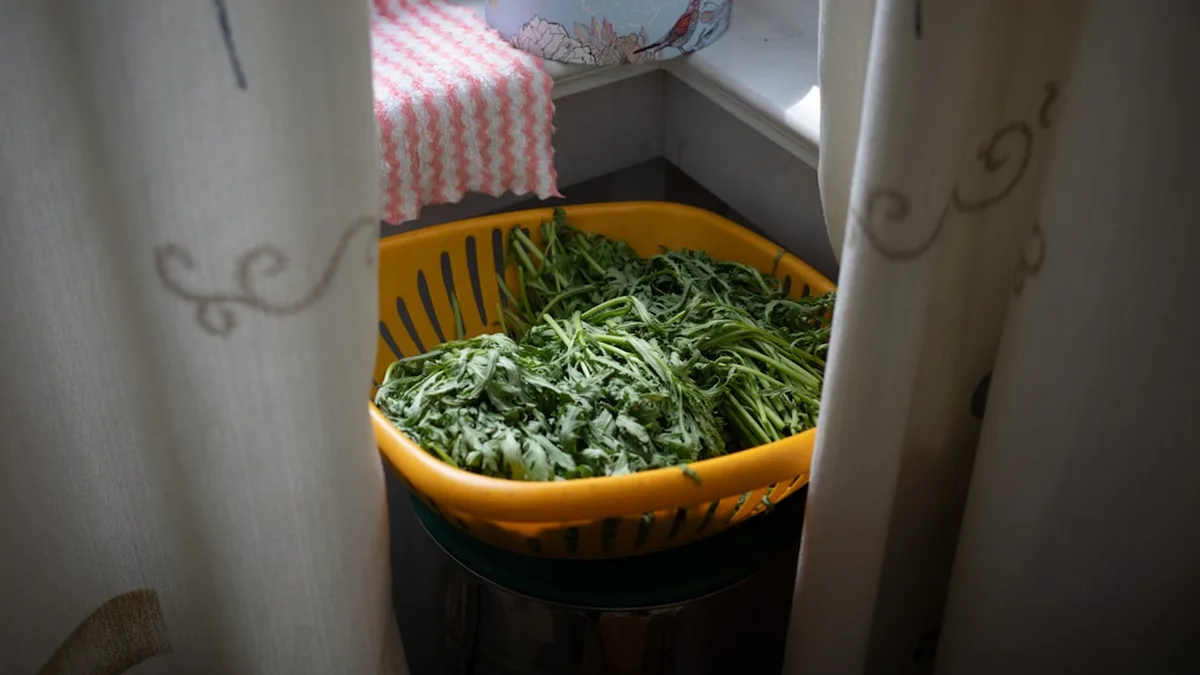 Faire ses tisanes maison avec des plantes simples